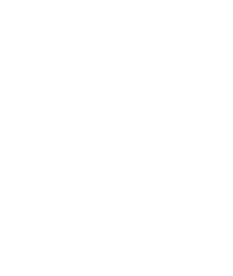 FLOWER CO. — Cannabis Abundant
